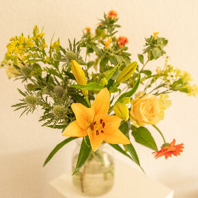 blumen-abo-gelb