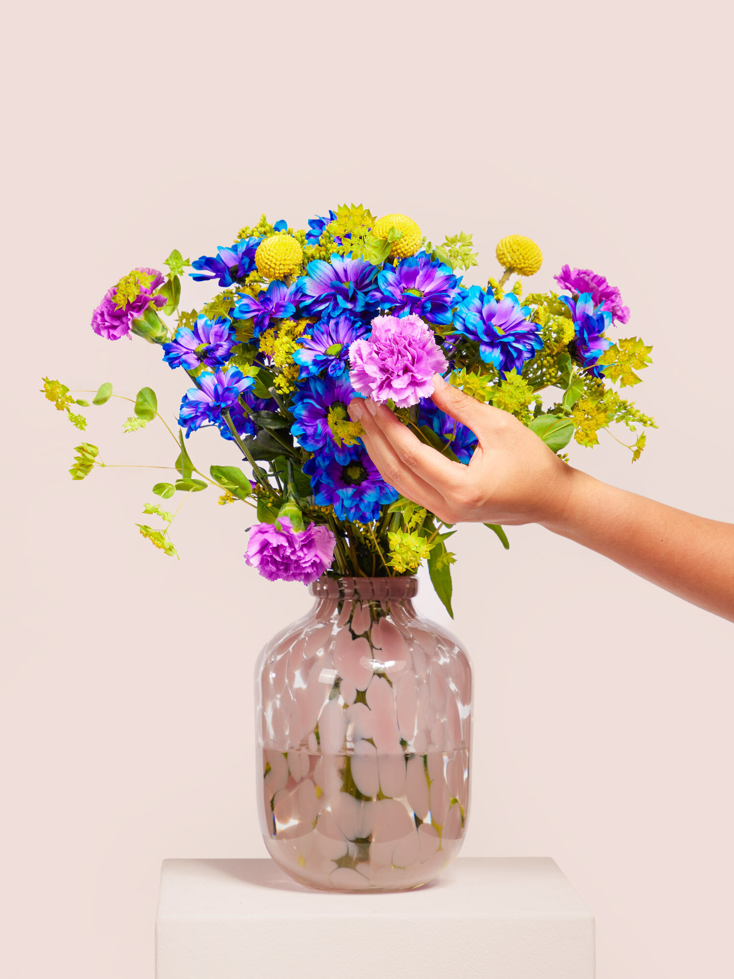 Blume, Blumen-Arrangement, Pflanze, Blumenstrauß, Glas