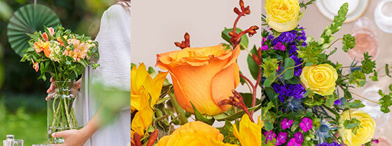 Blume, Blumen-Arrangement, Blumenstrauß, Florales Design, Rose