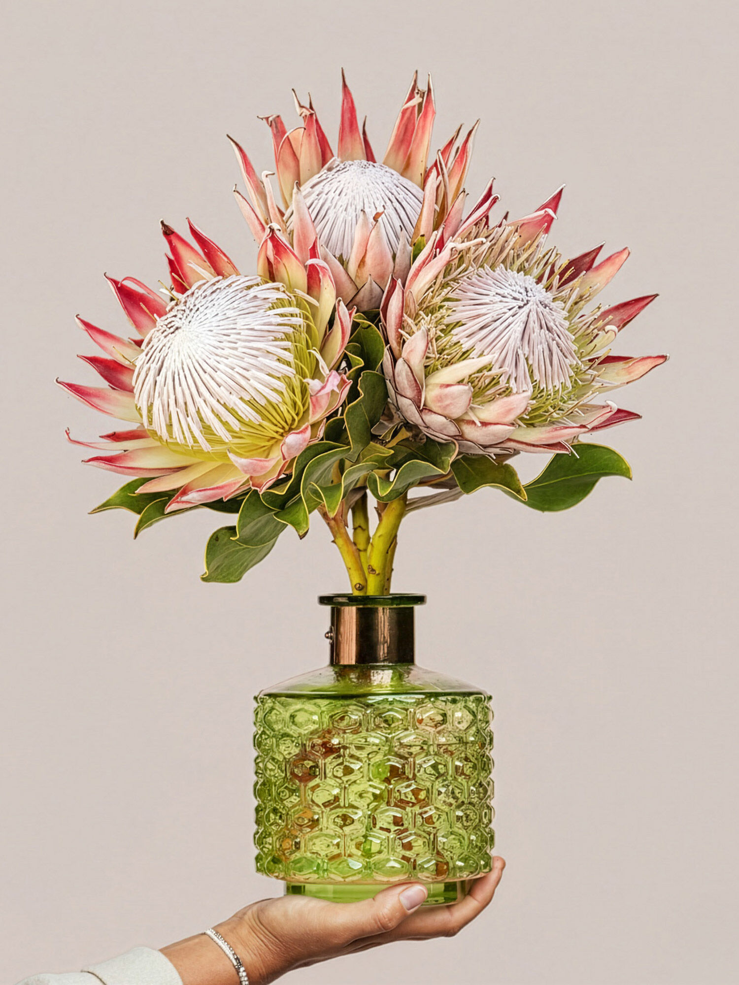 Blume, Blumen-Arrangement, Pflanze, Blütenblatt, Krug