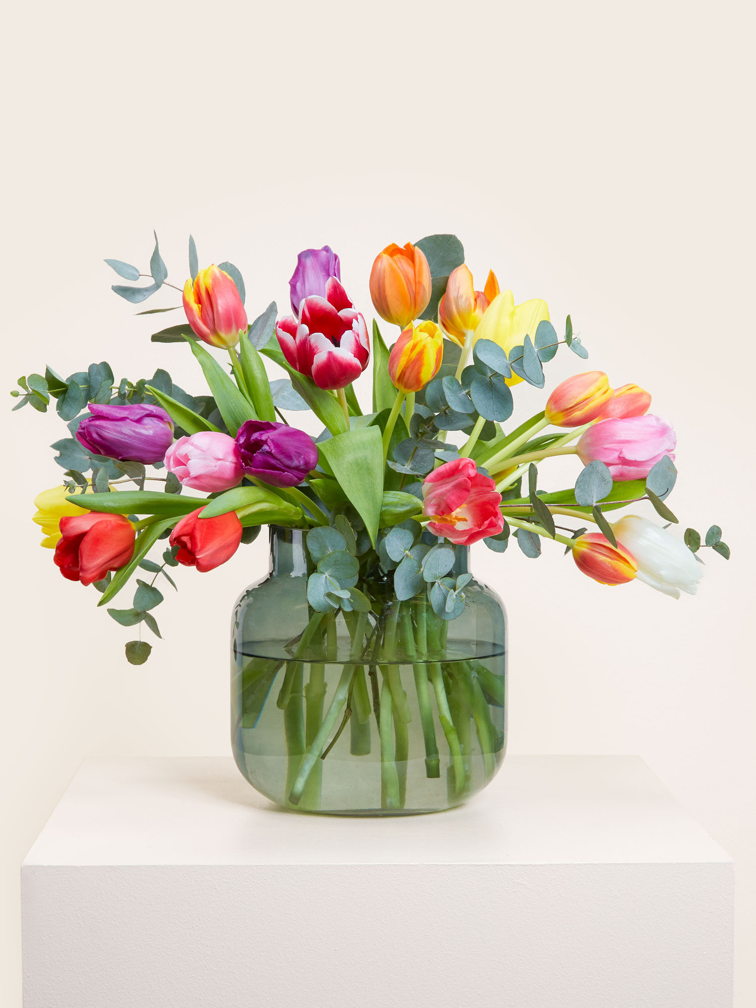 Blumenstrauss 20 bunte Tulpen im Mix | Frühlingsgefühle | Blumenversand mit BLOOMY DAYS | Vasenfertig inkl. persönliche Grußkarte | Geschenk -