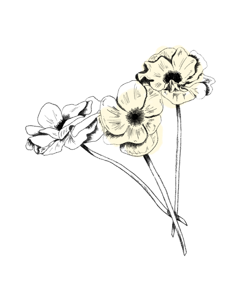 Anemone
