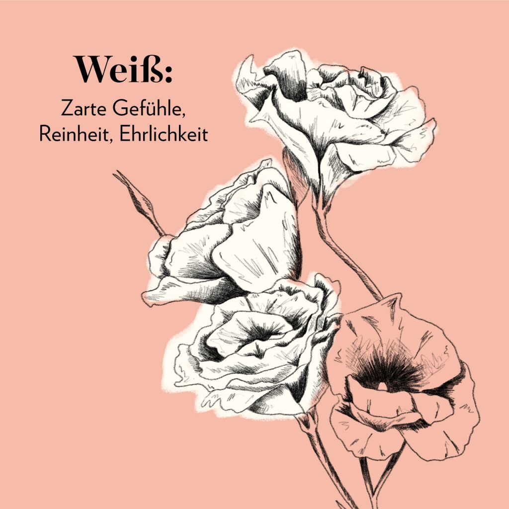 Weiß