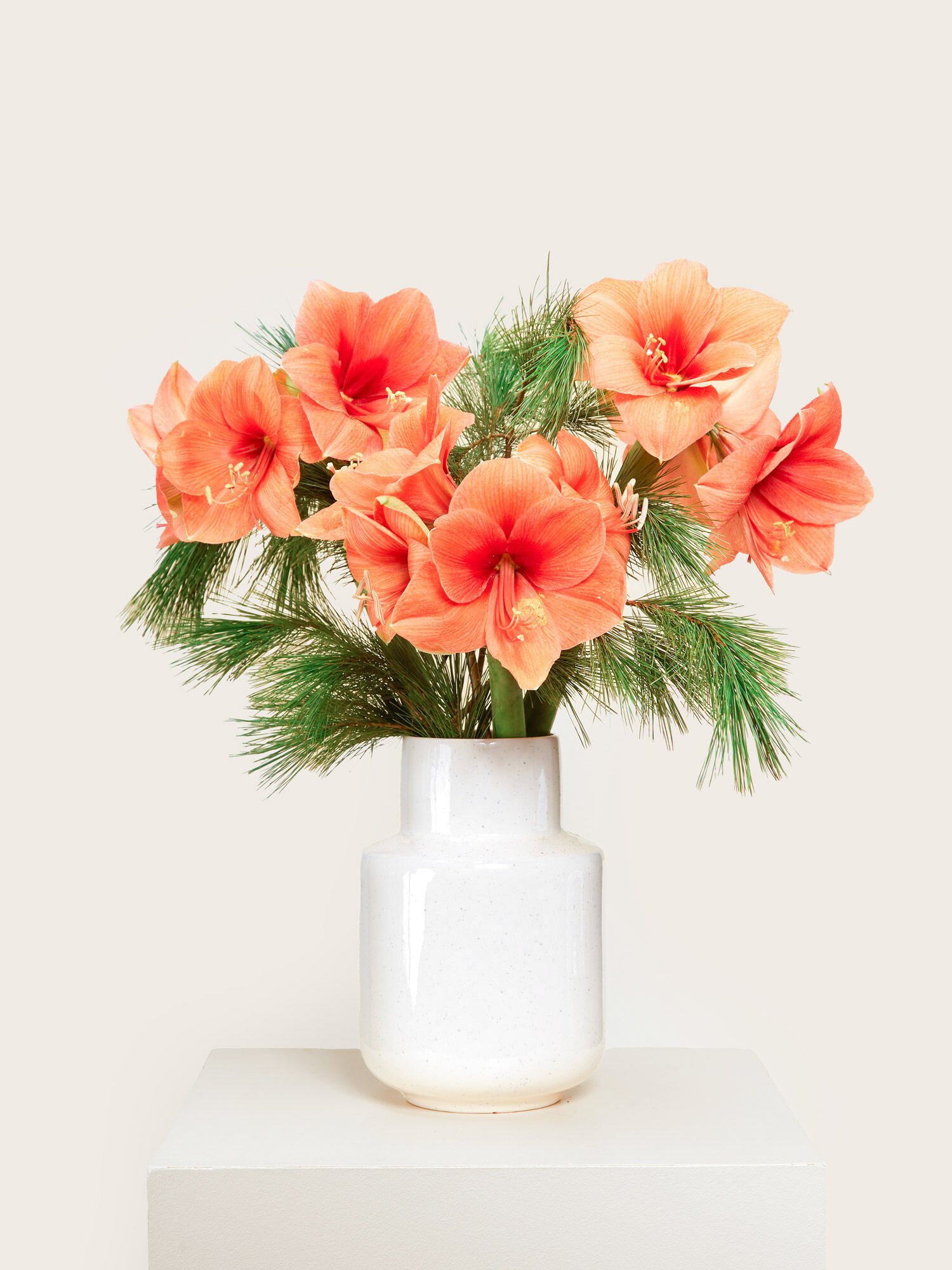 Blume, Blumen-Arrangement, Topfpflanze, Blumenstrauß, Glas