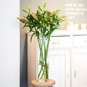 Lilien und Inkalilien