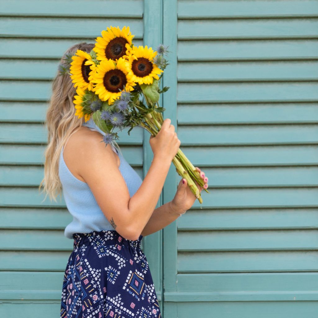 Pflegetipps Sonneblumen