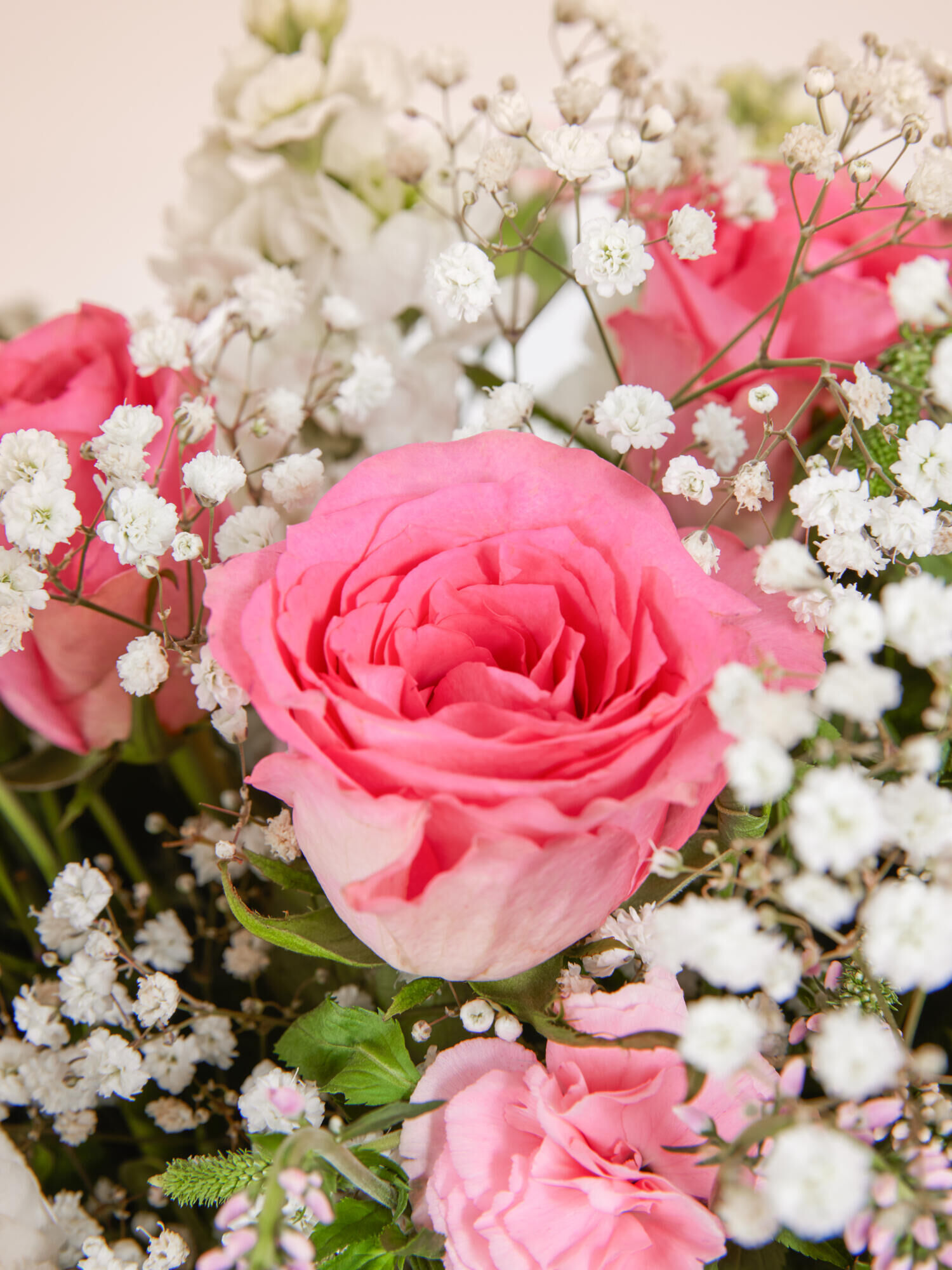 Blumenstrauß, rosa Rose, violette Füllblumen, frische Blumen, grünes Laub, Rosa Rosen, Weißes Schleierkraut, Blumenstrauß, Frische Blumen