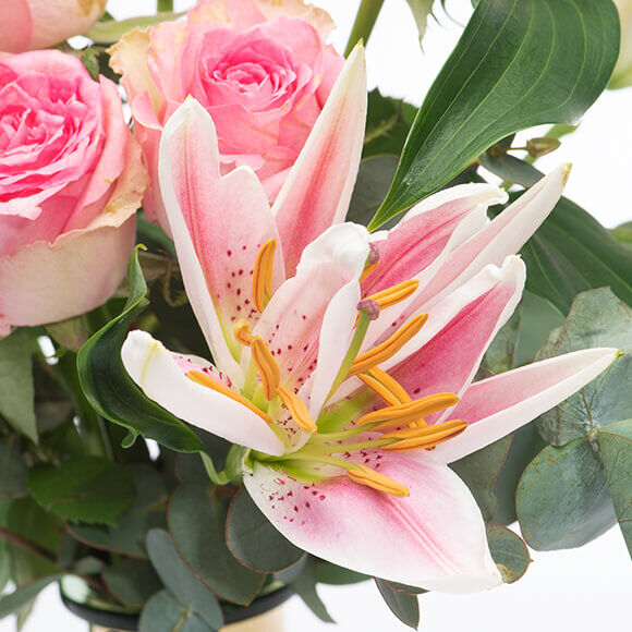 Valentinstagskollektion