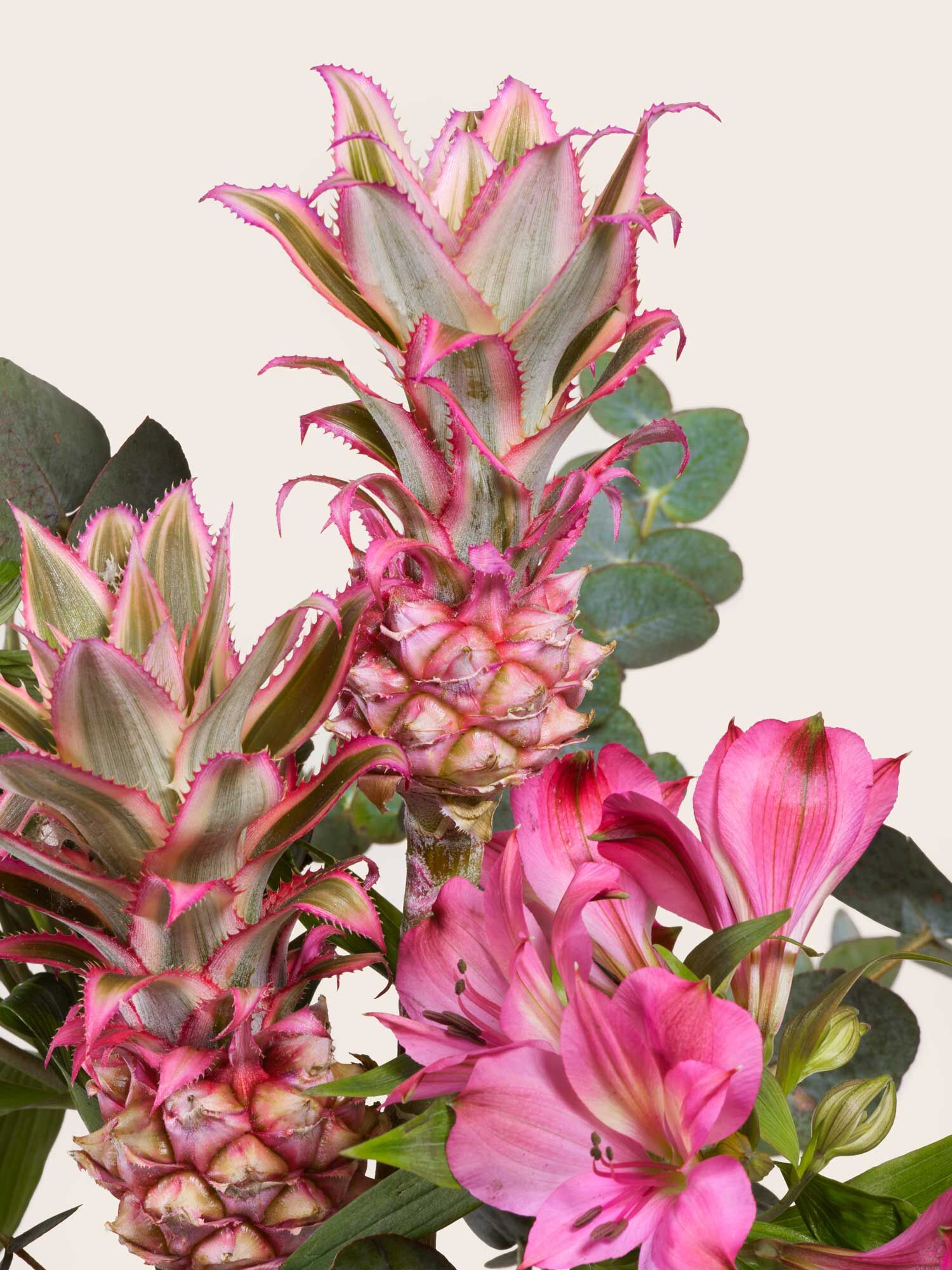 Tropical Crush Nahaufnahme von Baby Ananas, mit pinkfarbenen Alstromerien und Eukalyptus