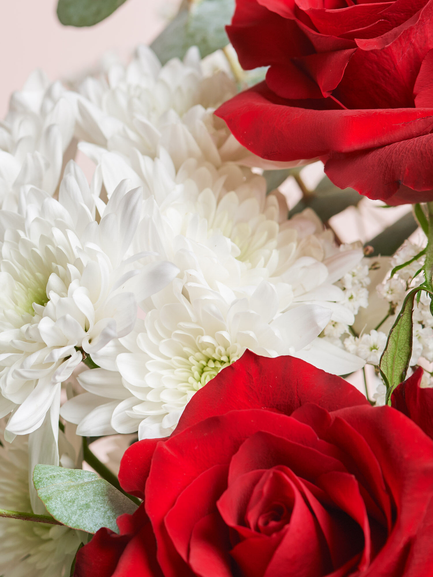 Blume, Blumen-Arrangement, Blumenstrauß, Rose, Blütenblatt