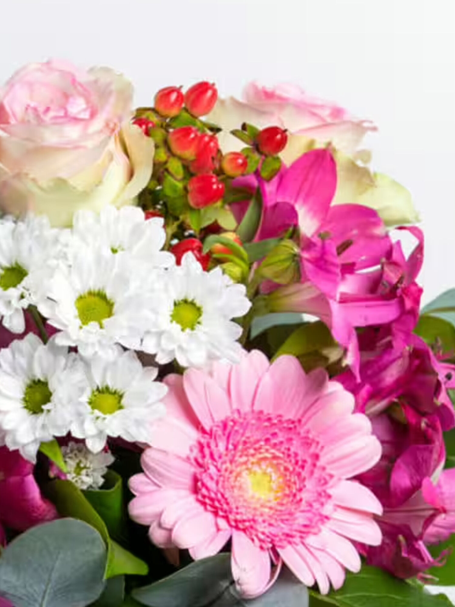 Blumen, Blumenstrauß, Rosa Blumen, weiße Gänseblümchen, grünes Laub