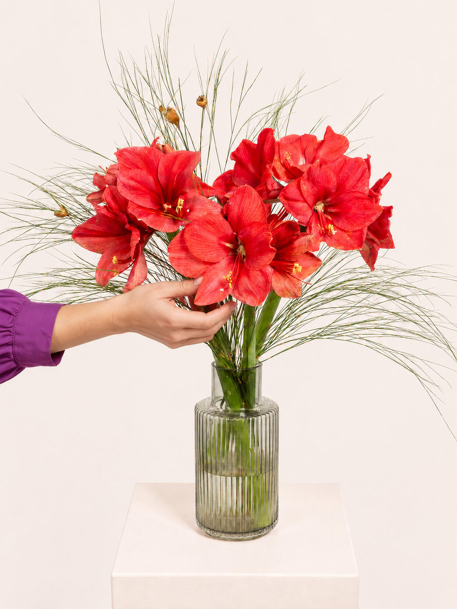 Amaryllisstrauß, Rote Blumen, Ziergras, Gerippte Glasvase