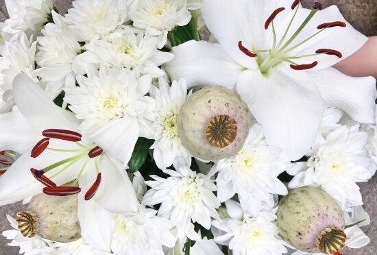 White Darling