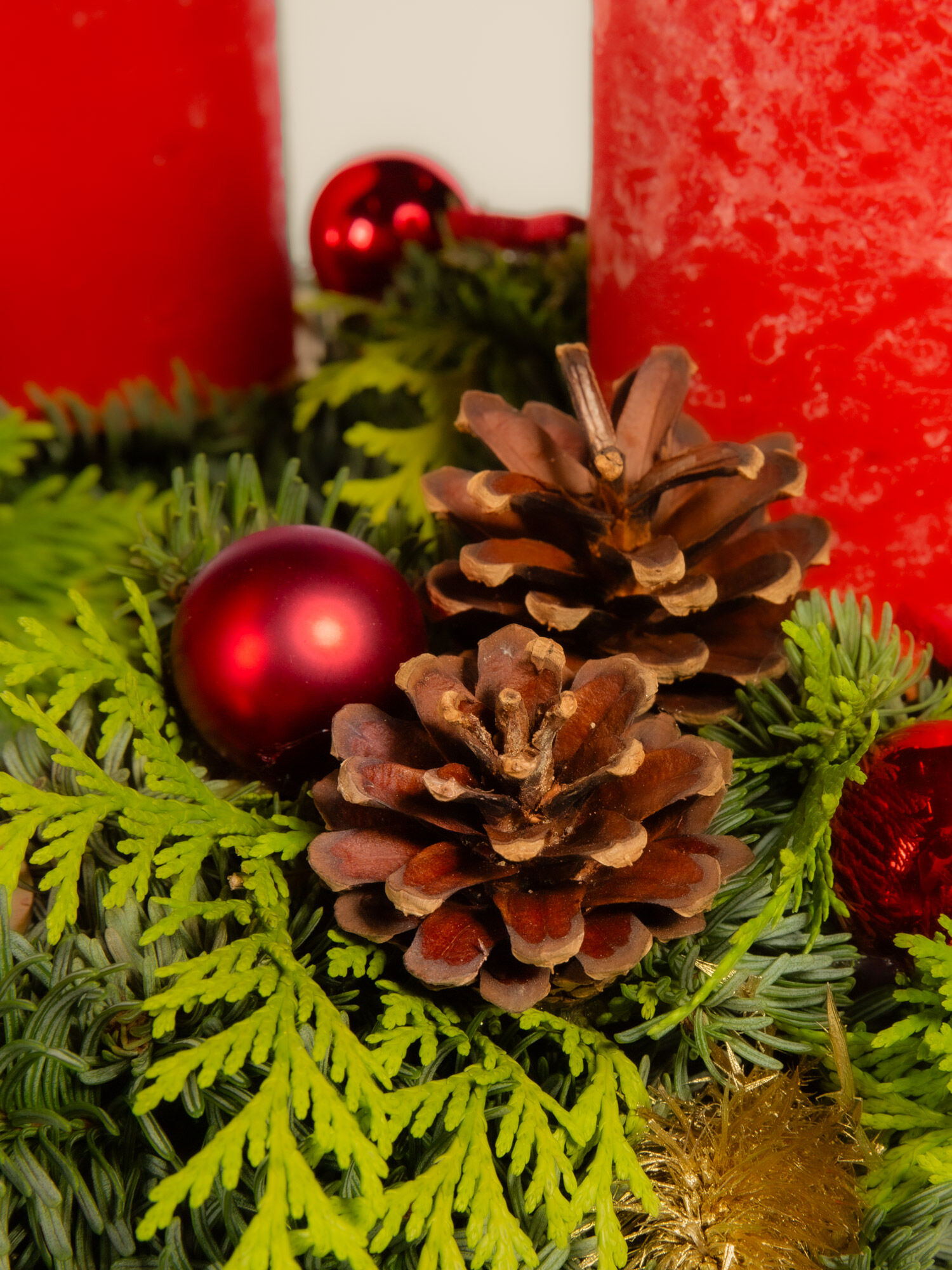 Pflanze, Baum, Konifer, Tanne, Zubehör