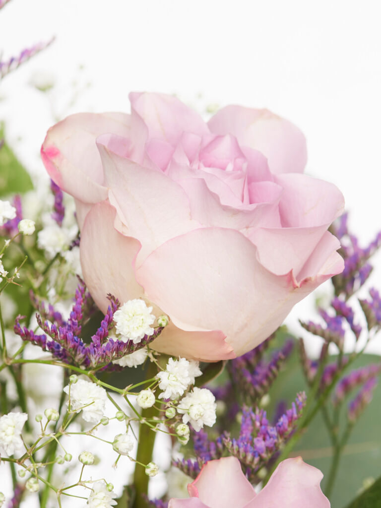 Blume, Blumen-Arrangement, Blumenstrauß, Rose, Blütenblatt