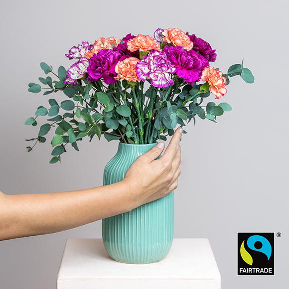 Fairtrade Nelken