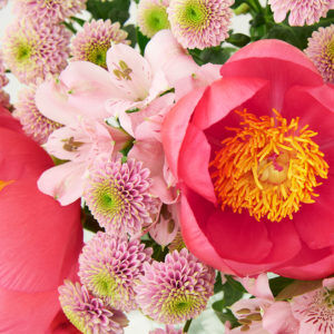 Pfingstrosen, Inkalilien, Knopfsantini