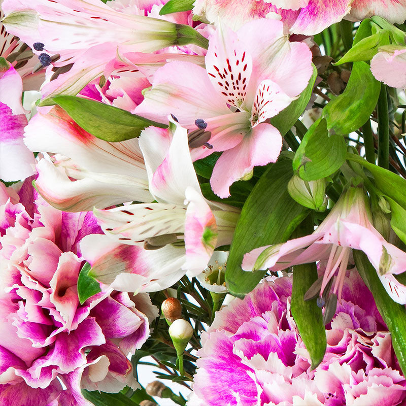 Pink Sweetheart