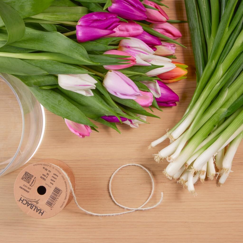 Material für Tulpen-Lauchzwiebel-DIY