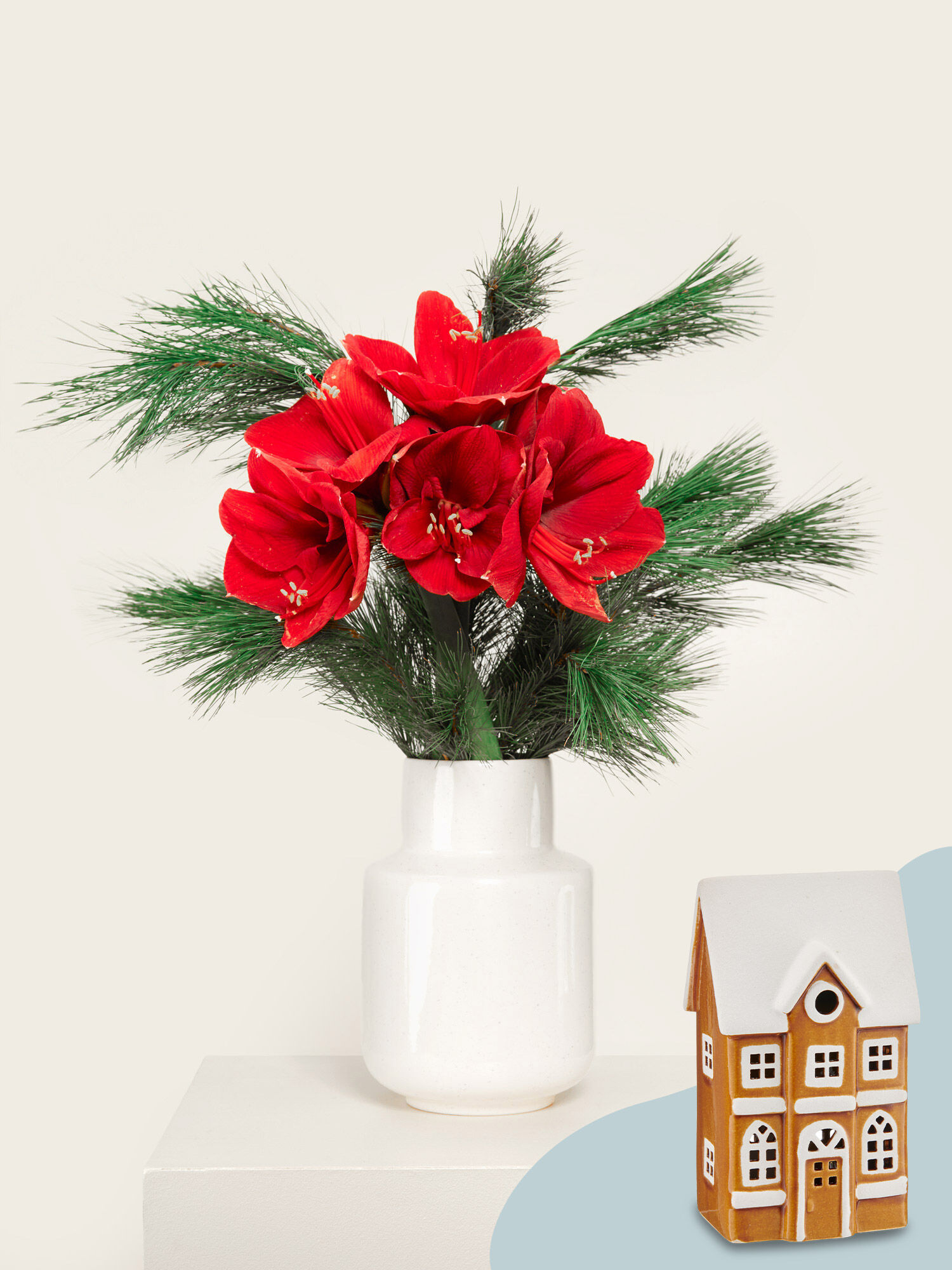 Pflanze, Pflanze im Topf, Blume, Blumen-Arrangement, Blumenstrauß