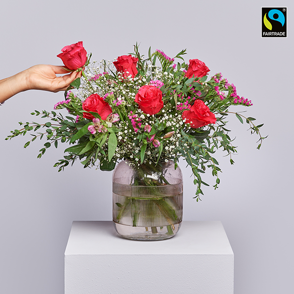 Astroblumen Wassermann