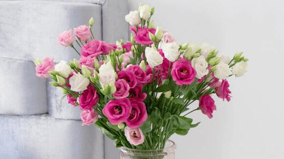 Blumenstrauß, Rosa und Weiß, frische Blumen, Glasvase, grünes Blattwerk