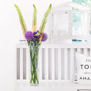 Steppenkerze, Allium und Statice