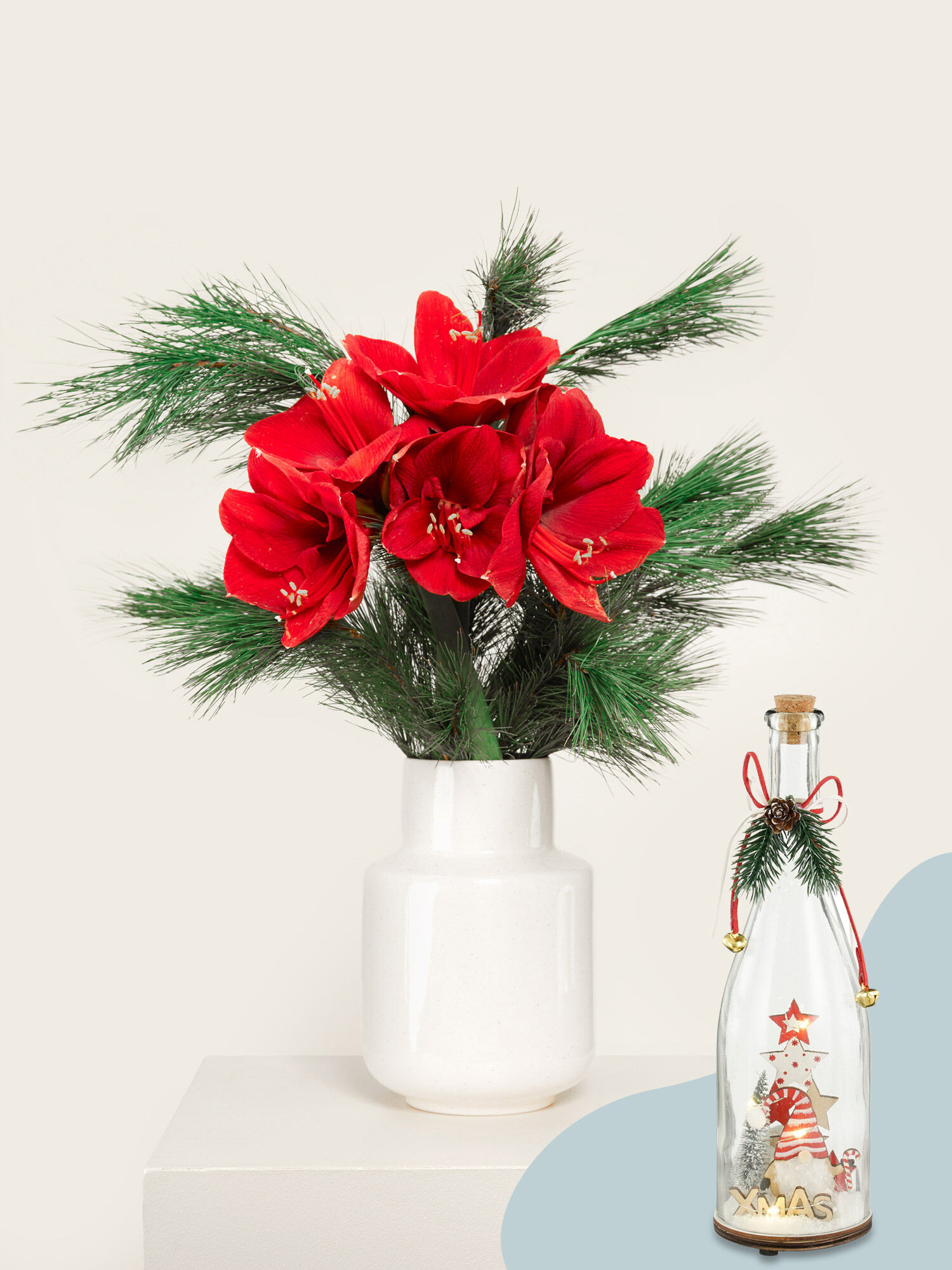 Blume, Blumen-Arrangement, Pflanze, Blumenstrauß, Topfpflanze