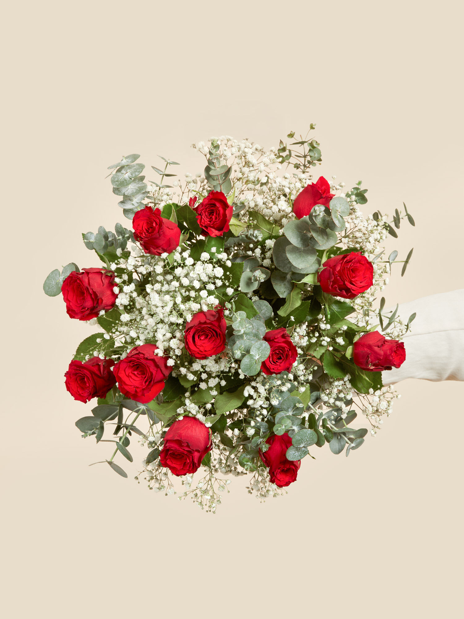 Blume, Blumen-Arrangement, Blumenstrauß, Pflanze, Rose