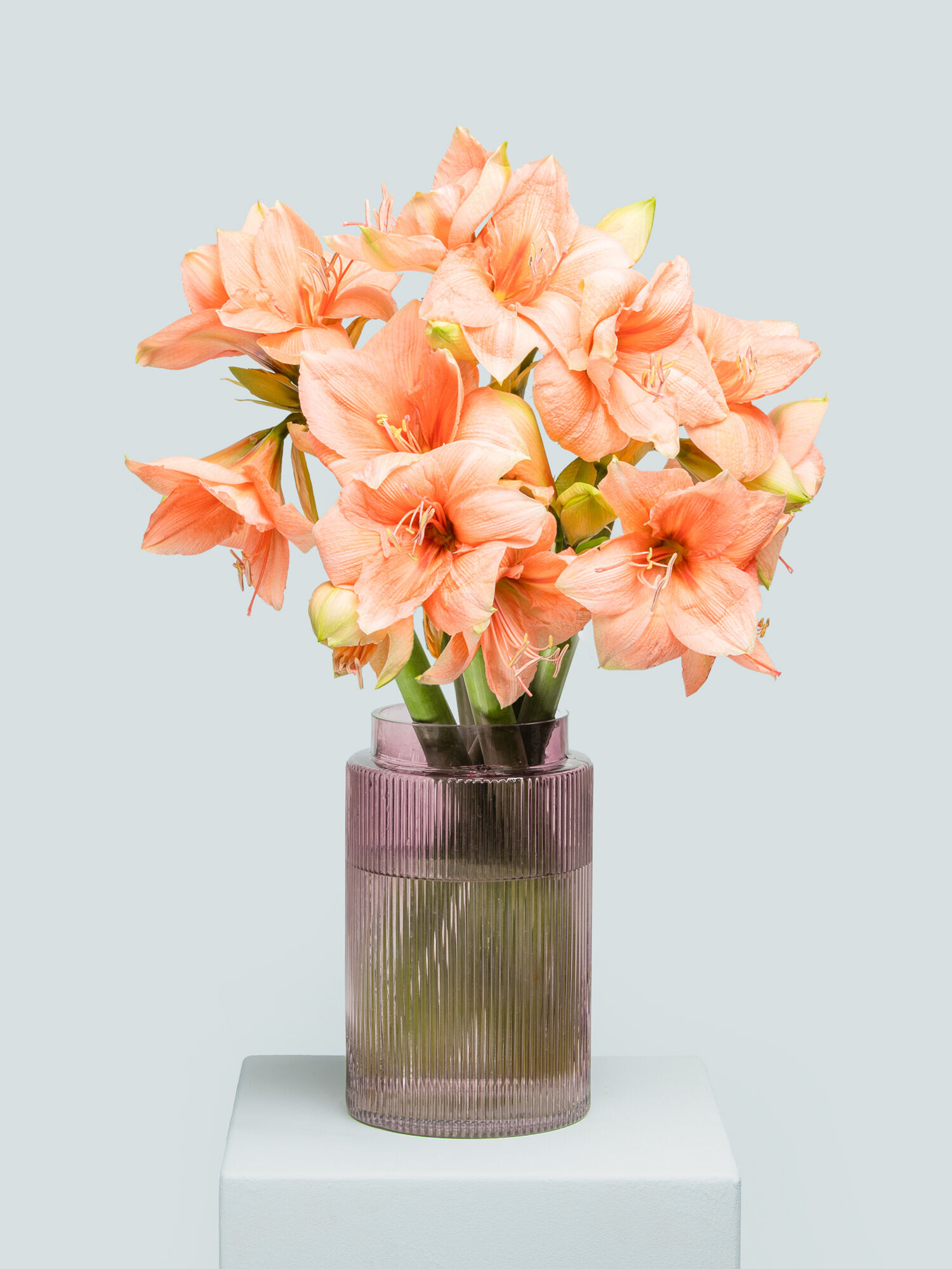 Blume, Blumen-Arrangement, Pflanze, Blumenstrauß