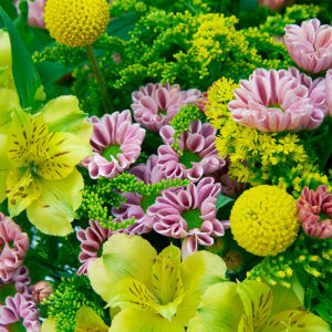 Santini, Inkalilien, Solidago, Craspedia