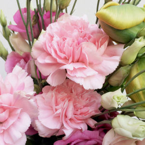 Eustoma, Nelken, Tulpen