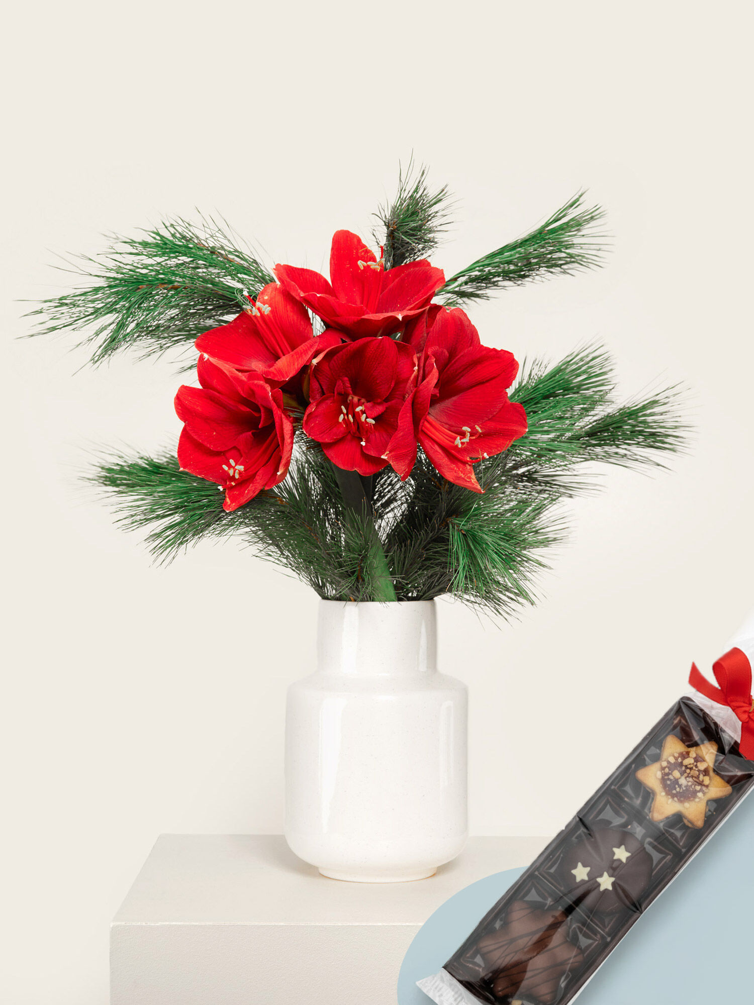 Blume, Blumen-Arrangement, Pflanze, Blumenstrauß, Topfpflanze