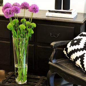 Allium und Green Trick