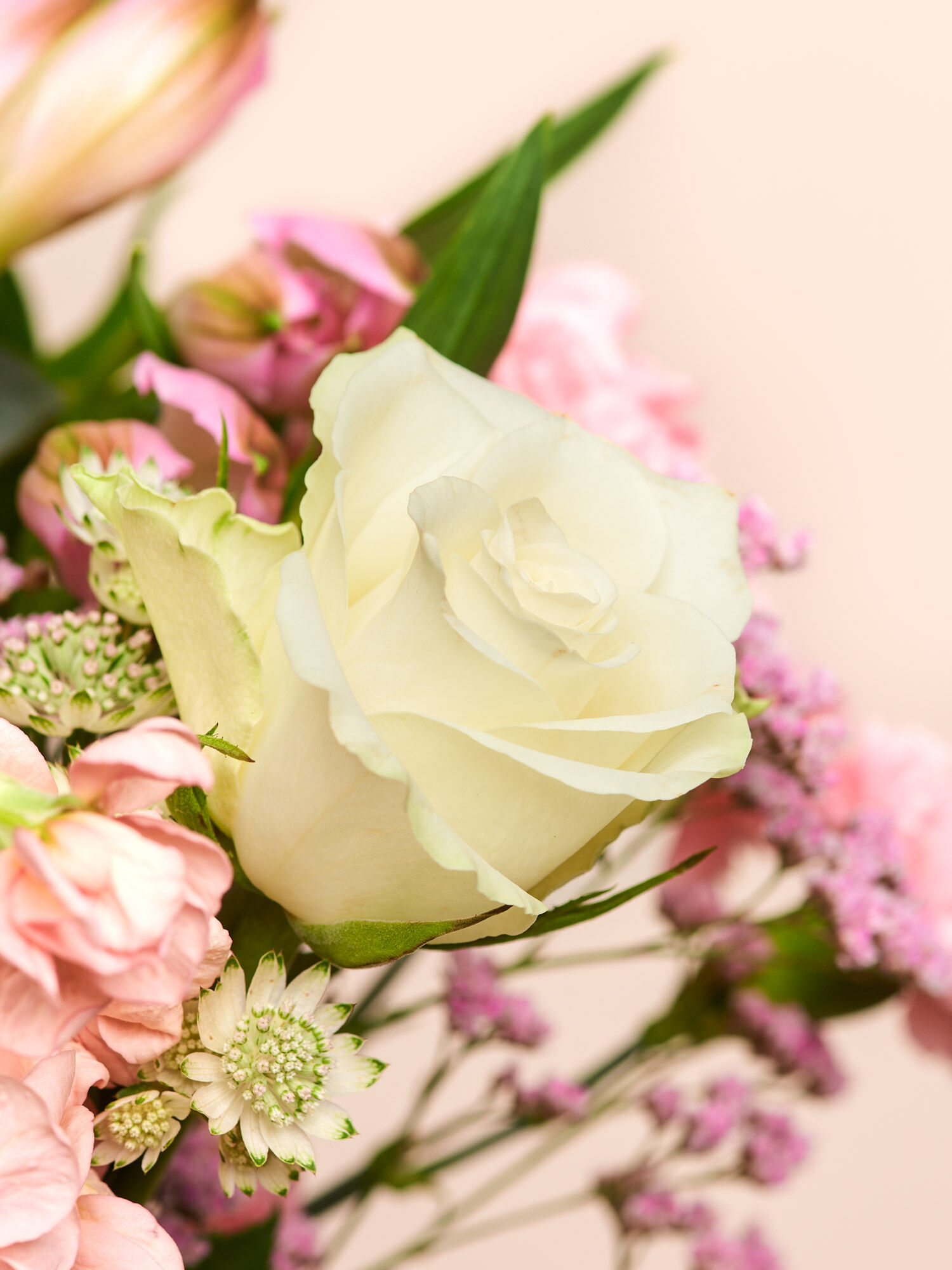 Blume, Blumen-Arrangement, Pflanze, Blumenstrauß, Rose