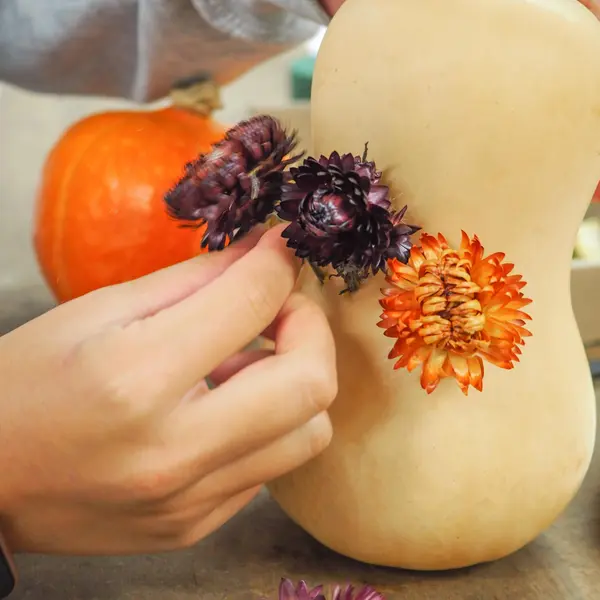 Butternut-Kürbis, in den getrocknete Blüten gesteckt werden