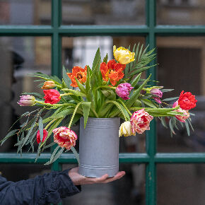 blumen-abo-tulpen