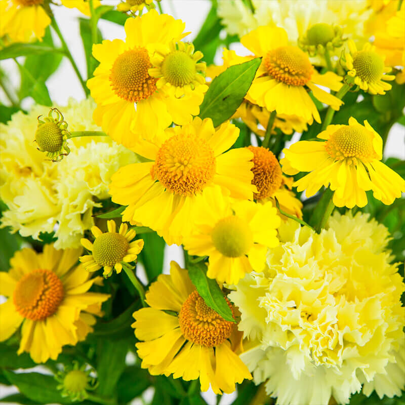 Hello Yellow: Sommerliche Blumenarrangements mit Helenium und Nelken