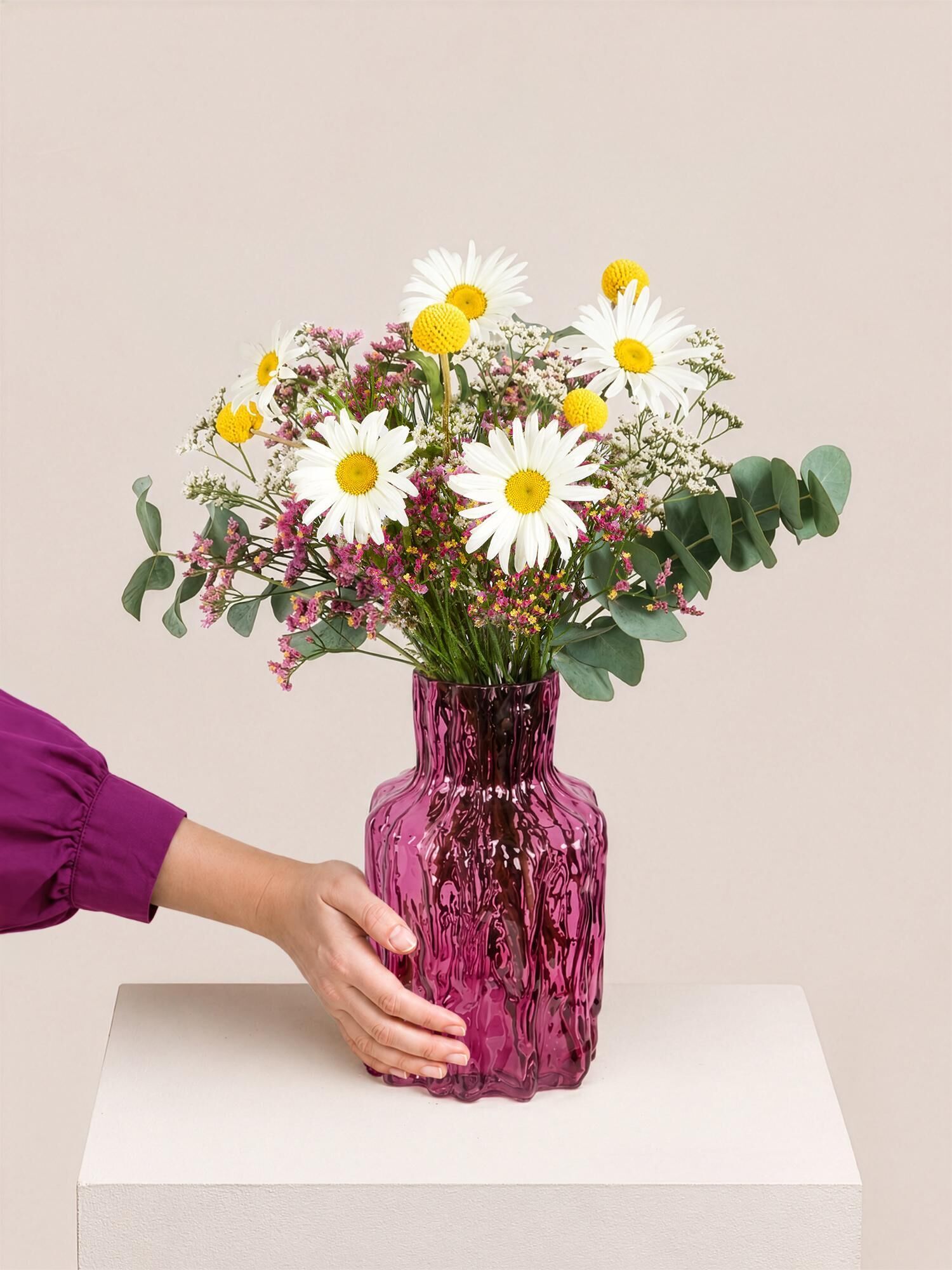 Blumenstrauß, Gänseblümchen, weiße Blüten, gelbe Zentren, pinkfarbige Vase