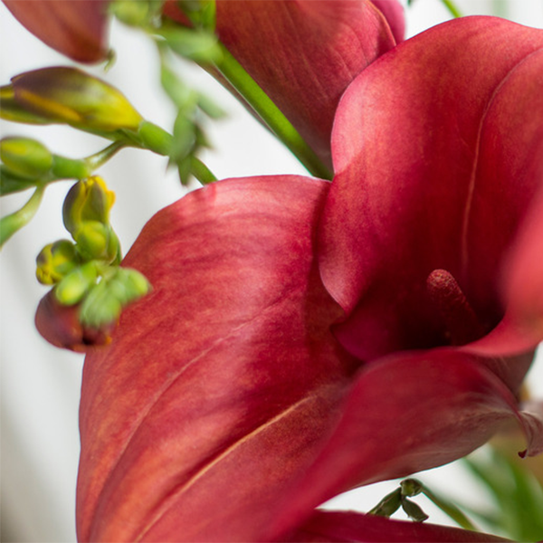 Natürliche Schönheit: Tipps für ein authentisches und gesundes Aussehen