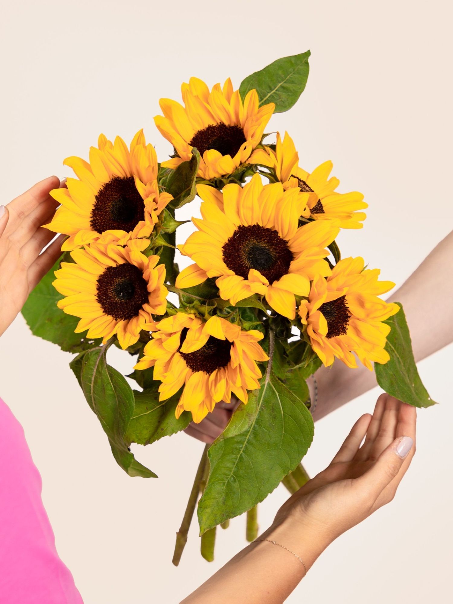 Sonnenblumen inkl. Vase Blume, Blumen-Arrangement, Blumenstrauß, Sonnenblume, Gänseblümchen