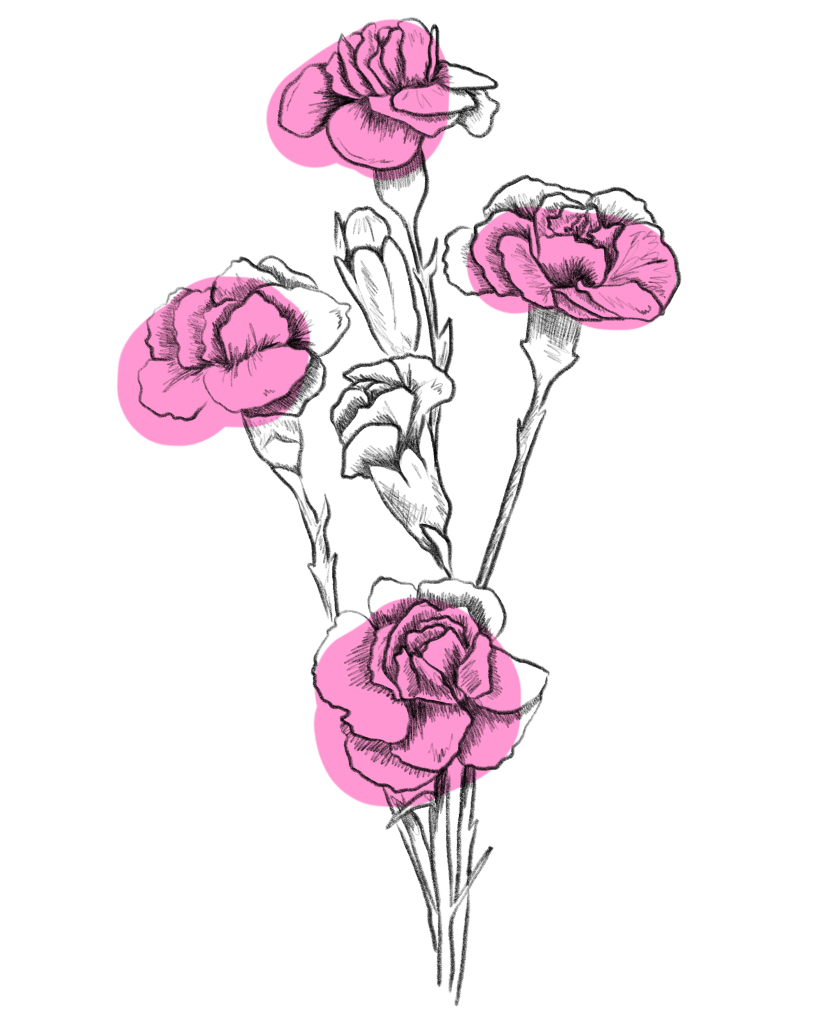 Spraynelken