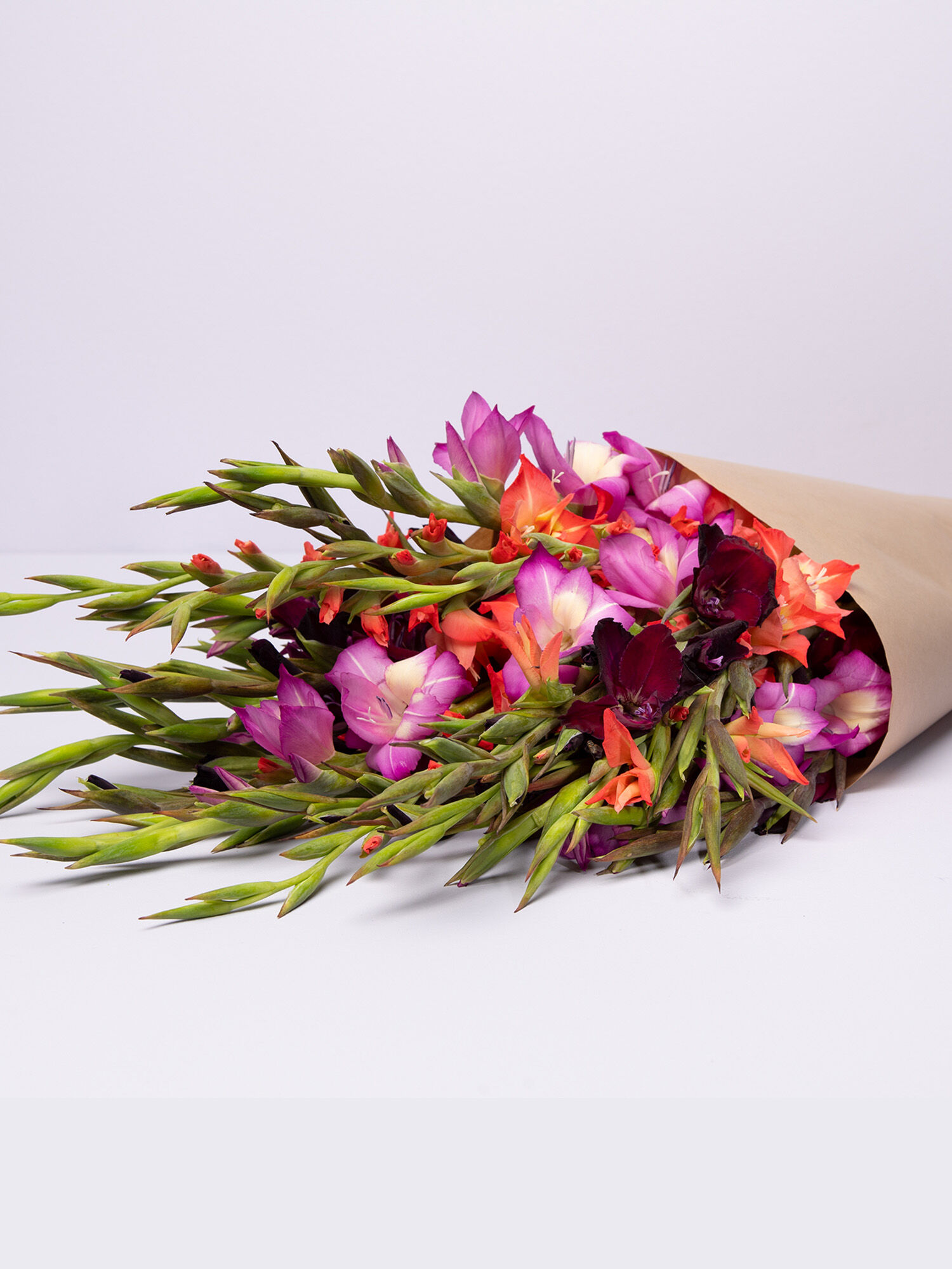 Blume, Blumen-Arrangement, Blumenstrauß, Pflanze, Florales Design