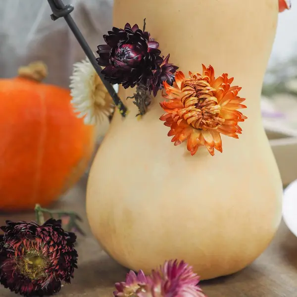 Butternut-Kürbis mit Löchern, in die Blüten gesteckt werden, auf einer Werkbank