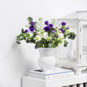 Eustoma, Levkojen, Wachsblume, Cerinthe, Hypericum