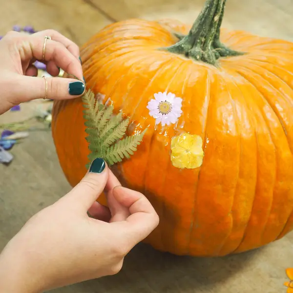 ein mit Bastelkleber bestrichener Kürbis, der mit getrockneten gepressten Blüten und Farnen verziert wird