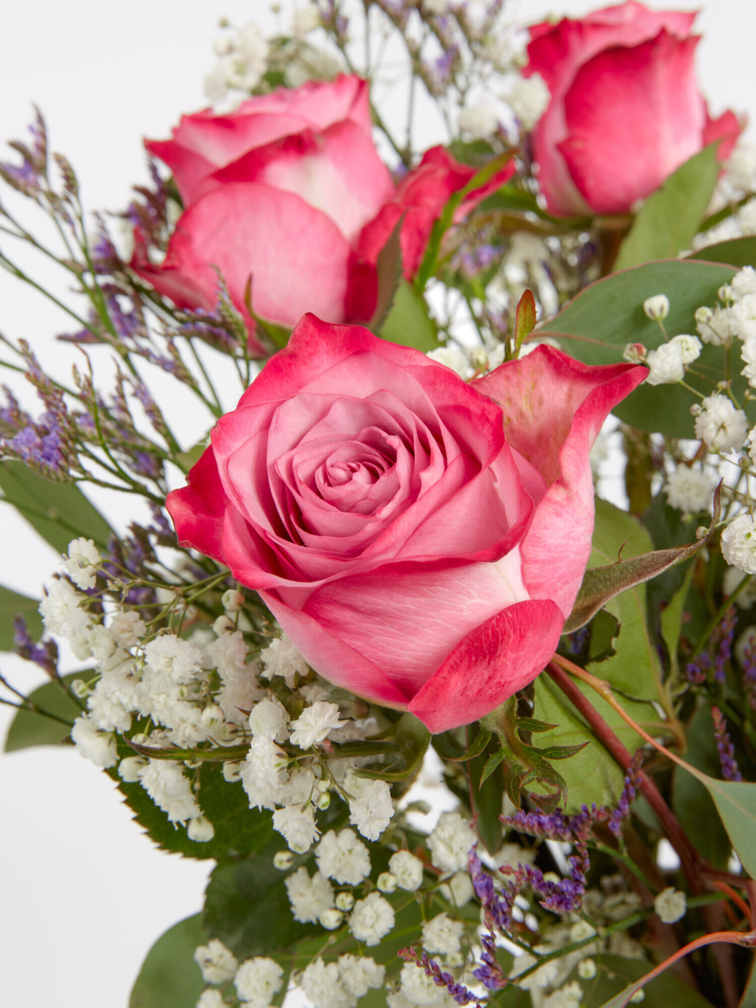 Blume, Pflanze, Rose, Blumen-Arrangement, Blumenstrauß