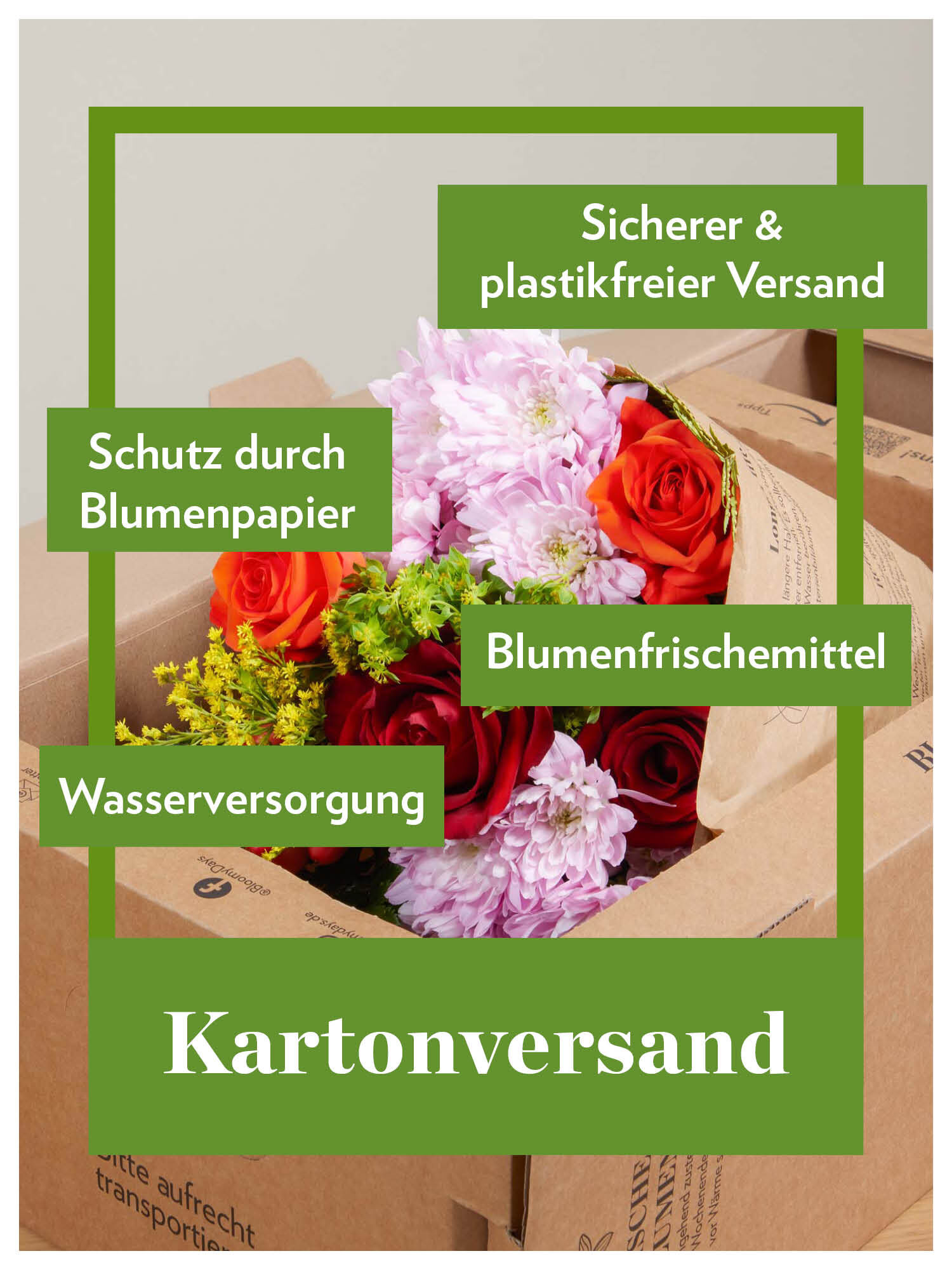 Blume, Rose, Blumen-Arrangement, Blumenstrauß, Grafiken