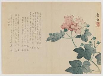 Chinesisches Schriftstück über Pfingstrosen