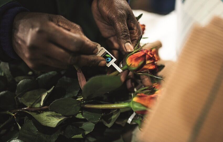 Ökonomische Standards